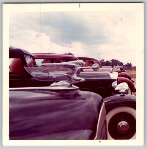 Vtg color snapshot classic - vtg,